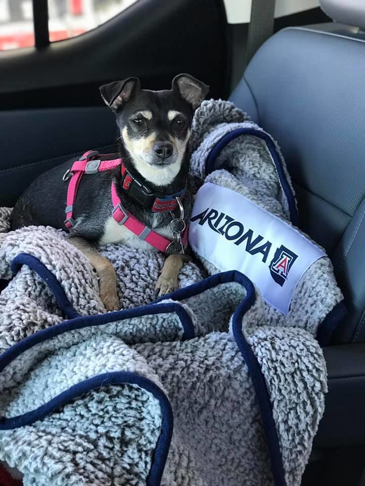 Readers pet photos
